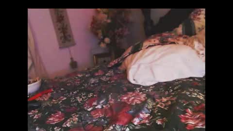 Snapshot of ferra_testarossa chatting on 5, 11, 2025 ferra_testarossa online show from 5, 11, 2025