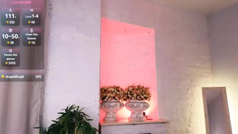 ferry_tail online show from 28, 2, 2025