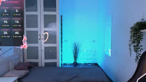 ferry_tail online show from 8, 3, 2025