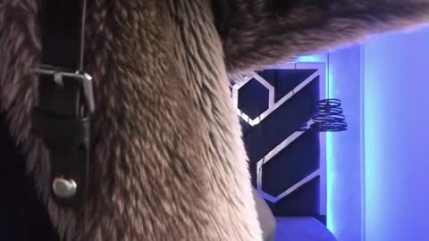   online show from 16, 2, 2025