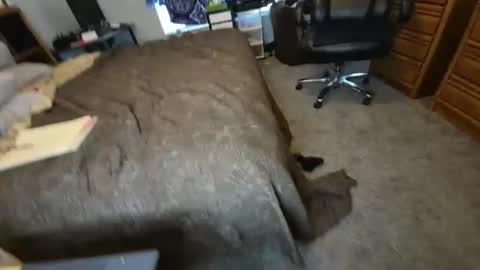 filfaonyx online show from 4, 11, 2025