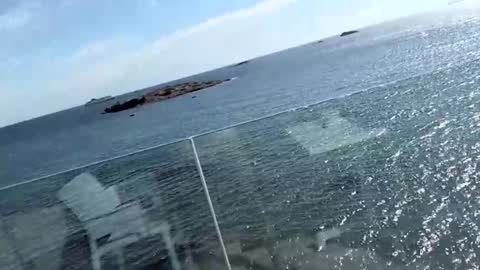 Snapshot of fischandchip chatting on 11, 10, 2025 fischandchip online show from 11, 10, 2025