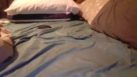 FitBit online show from 6, 3, 2026