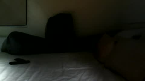 Fitbut online show from 10, 3, 2025