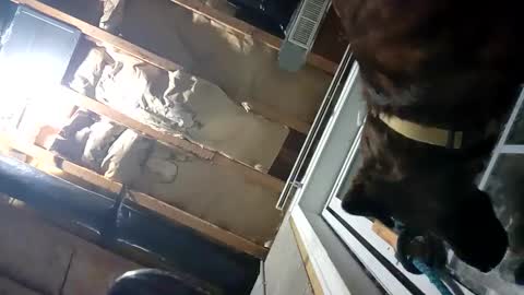 Snapshot of fkmylife6669 chatting on 25, 9, 2025 Nate online show from 25, 9, 2025