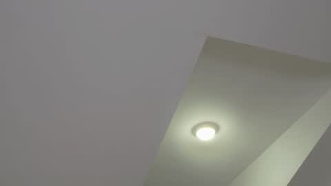 Snapshot of floret_joy chatting on 20, 1, 2025 ALICE online show from 20, 1, 2025