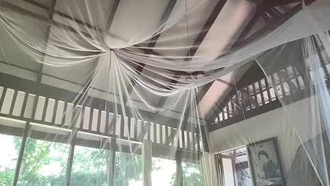 Snapshot of fluffy_bunnyxxx chatting on 6, 2, 2025 fluffy_bunnyxxx online show from 6, 2, 2025