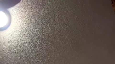 Snapshot of followthewhiterabbittail chatting on 16, 2, 2025 Have fun remembering u online show from 16, 2, 2025