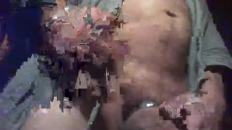 Snapshot of forest133 chatting on 24, 1, 2025 forest133 online show from 24, 1, 2025