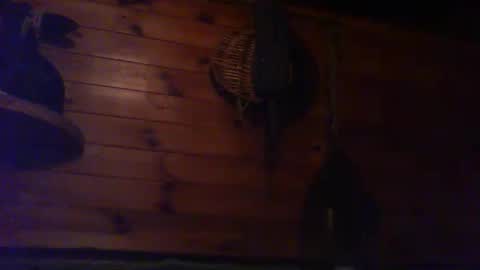 Snapshot of forest133 chatting on 30, 9, 2025 forest133 online show from 30, 9, 2025