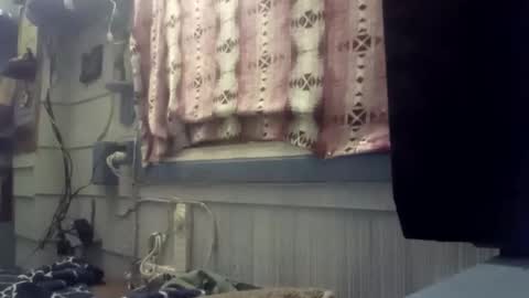 Snapshot of foxbodydave chatting on 23, 11, 2025 foxbodydave online show from 23, 11, 2025