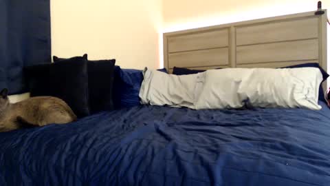 Angel online show from 5, 12, 2024