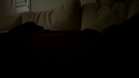 freakleap4 online show from 14, 10, 2025