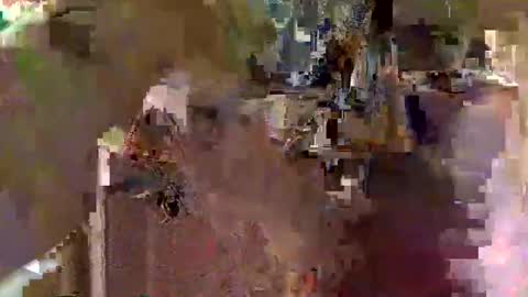 Squirrel twink online show from 23, 11, 2025