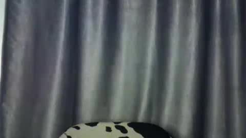 Snapshot of freaky_brula chatting on 2, 7, 2026 freaky brula online show from 2, 7, 2026
