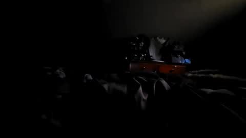 fred online show from 19, 10, 2025