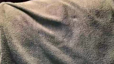 Snapshot of fredasstare chatting on 2, 11, 2025 Fred online show from 2, 11, 2025