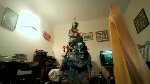 Keith online show from 5, 12, 2024