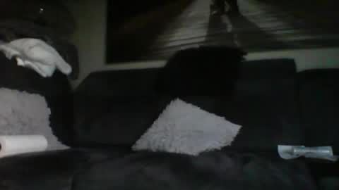 fredo76491 online show from 31, 10, 2025