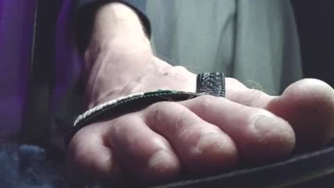 Greedy Fred online show from 5, 3, 2026