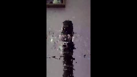 freelingling online show from 14, 1, 2026