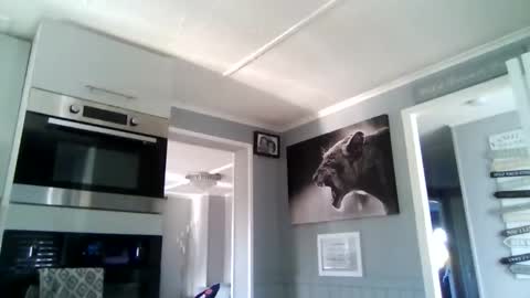 bob online show from 2, 12, 2025