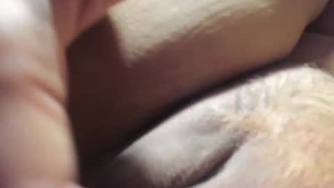 FrumCake online show from 6, 12, 2024