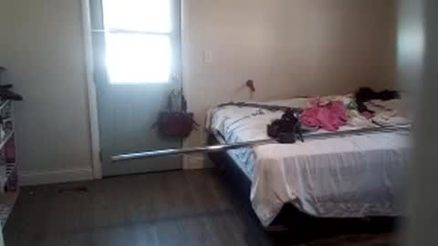 fuckroundfindout513116 online show from 29, 1, 2025