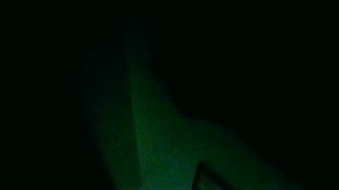 fultonstreet196860 online show from 30, 12, 2024