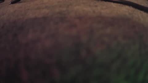 Snapshot of fumymo chatting on 7, 1, 2026 fumymo online show from 7, 1, 2026