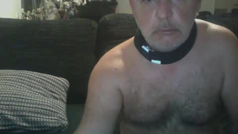 futbolin95 online show from 19, 12, 2024