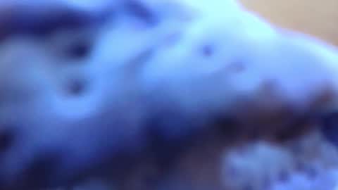 gabriela online show from 14, 2, 2026