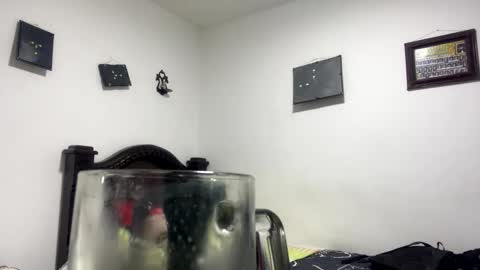 Snapshot of gadiel_sex chatting on 31, 10, 2025 gadiel_sex online show from 31, 10, 2025