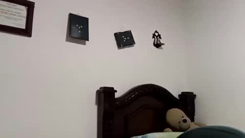 Snapshot of gadiel_sex chatting on 22, 11, 2025 gadiel_sex online show from 22, 11, 2025