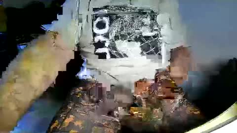 Stutzen online show from 7, 2, 2025