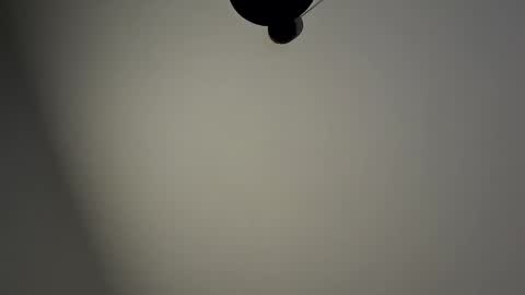 gazg1984 online show from 29, 1, 2025