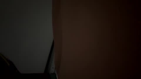Snapshot of geisha39317 chatting on 17, 5, 2026 ChaRisa online show from 17, 5, 2026
