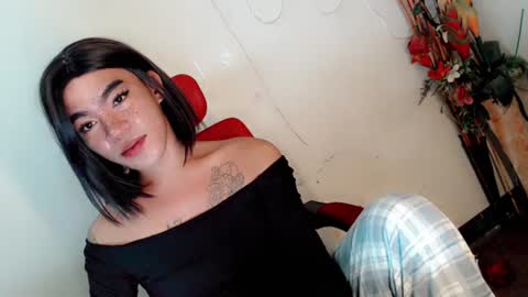gelo online show from 16, 7, 2026