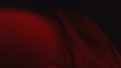 genitalwars online show from 4, 3, 2026