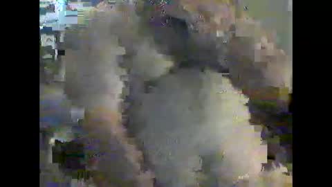 gerabo online show from 21, 12, 2024