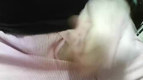 germandaddydick1 online show from 25, 10, 2025