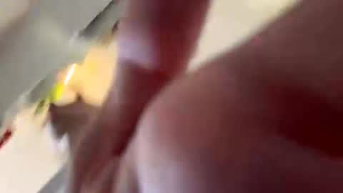 Sophie online show from 5, 7, 2026
