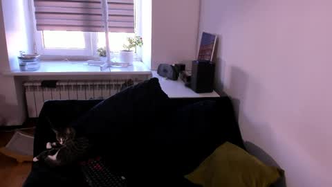 geserm online show from 1, 4, 2026