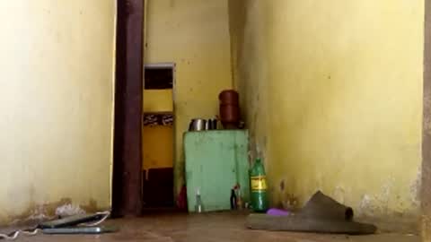 Gaby online show from 15, 1, 2026