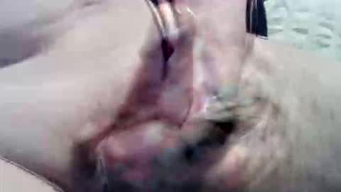 ghost1805 online show from 15, 9, 2025