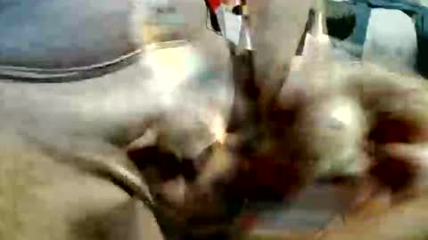 ghost1805 online show from 20, 11, 2025