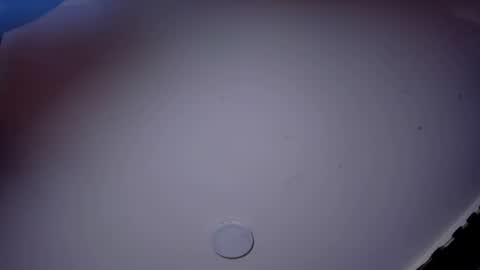 Snapshot of giomar_reyes chatting on 10, 6, 2026 GIOMAR REYES online show from 10, 6, 2026