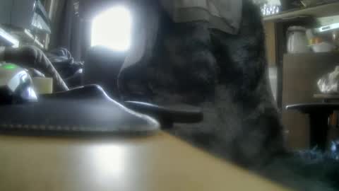 giovanne1 online show from 5, 12, 2024