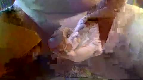 girafsnoop online show from 19, 1, 2025