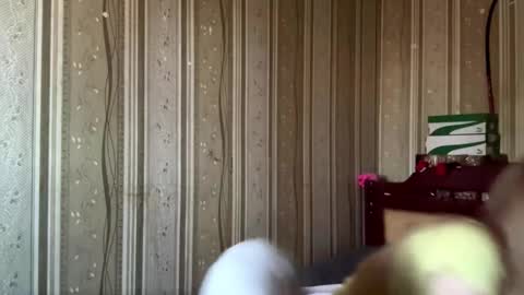 Hello My name is Ashley online show from 22, 3, 2026